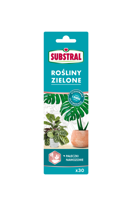 Substral  Pałeczki nawozowe do Roślin Zielonych 30 szt.