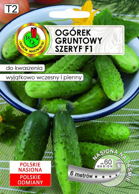 PNOS OGÓREK SZERYF 6M TAŚMA