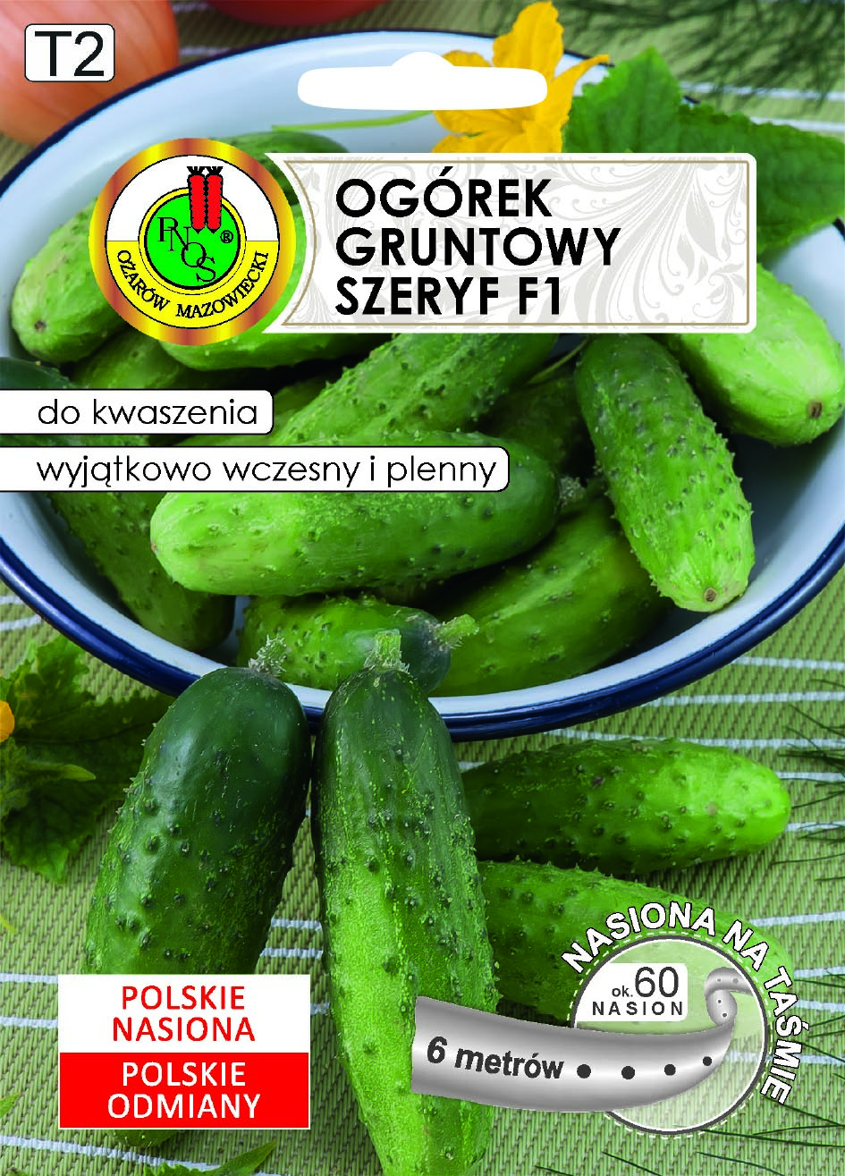 PNOS OGÓREK SZERYF 6M TAŚMA