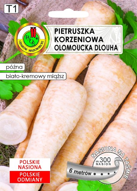 PNOS PIETRUSZKA OŁOMUŃCKA 6M TAŚMA