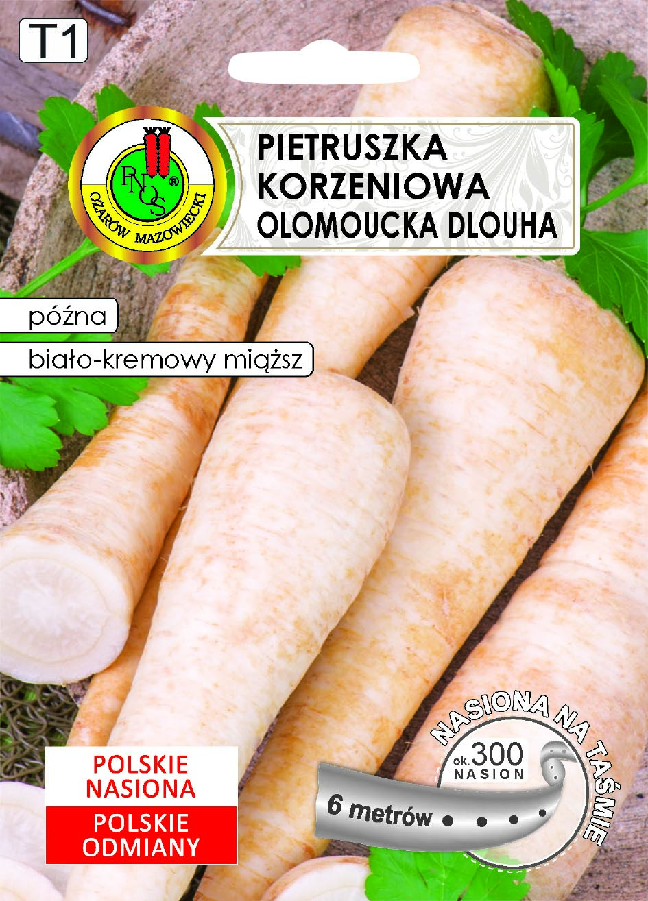 PNOS PIETRUSZKA OŁOMUŃCKA 6M TAŚMA