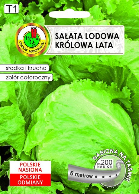PNOS SALATA KRÓLOWA LATA 6M TAŚMA