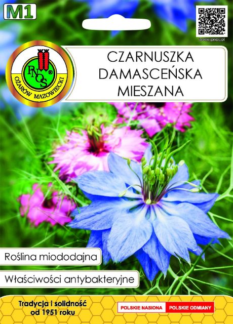 PNOS CZARNUSZKA DAMACENSKA 2G