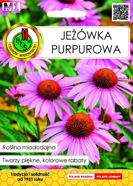 PNOS JEŻÓWKA PURPUROWA 1G