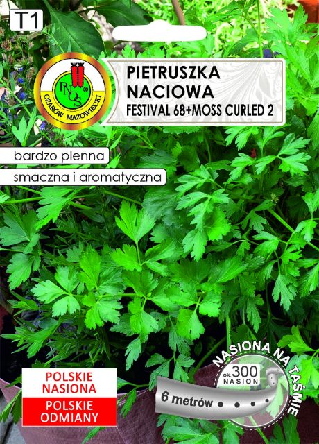 PNOS PIETRUSZKA NACIOWA FESTIVAL 6M TAŚMA