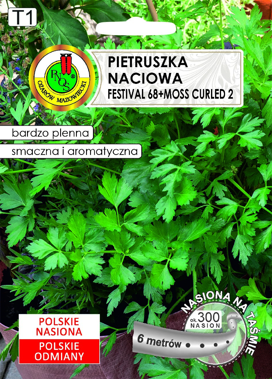 PNOS PIETRUSZKA NACIOWA FESTIVAL 6M TAŚMA