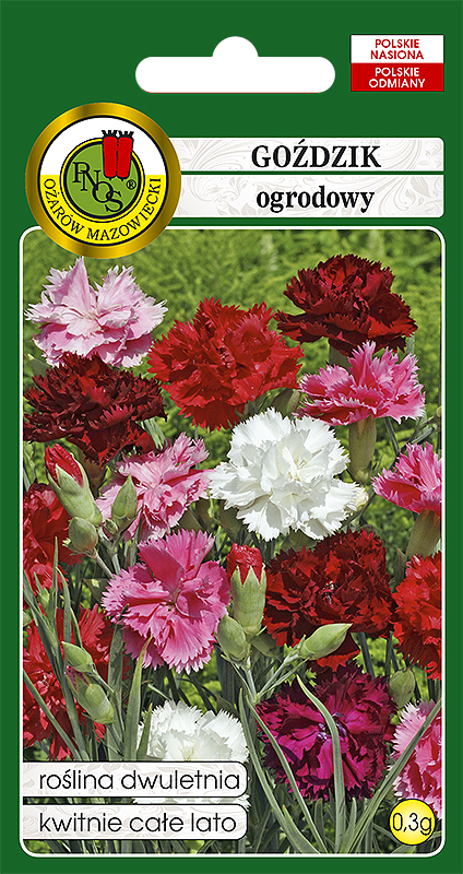 PNOS GOŹDZIK OGRODOWY GRENADIN MIESZANY
