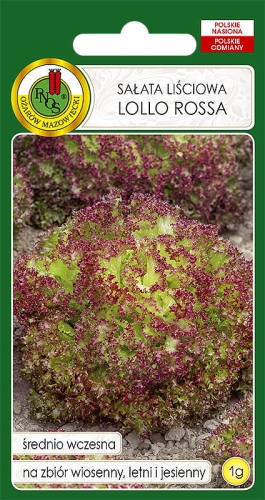 PNOS SAŁATA LOLO ROSSA 1G