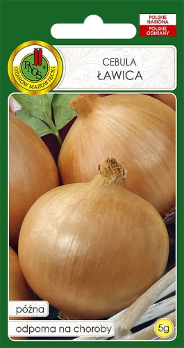 PNOS CEBULA ŁAWICA 5G