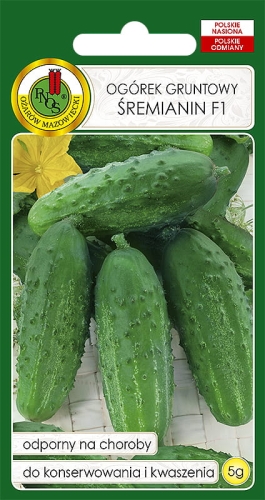 PNOS OGÓREK ŚREMIANIN 5G