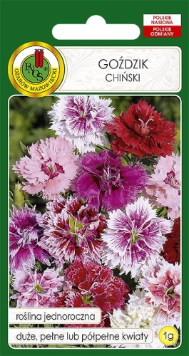 PNOS GOŹDZIK CHIŃSKI MIX 1G