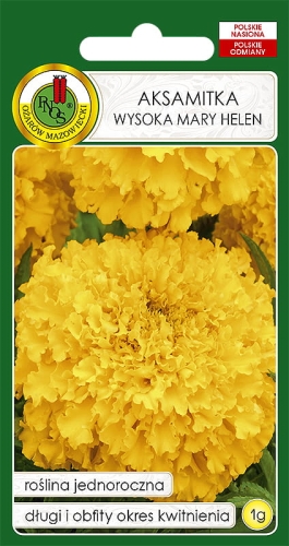 PNOS AKSAMITKA WYSOKA MARY HELEN 1G