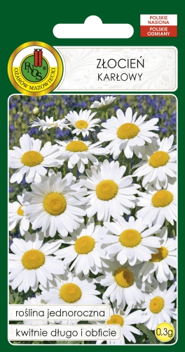 PNOS ZŁOCIEŃ BIAŁY 0,3G