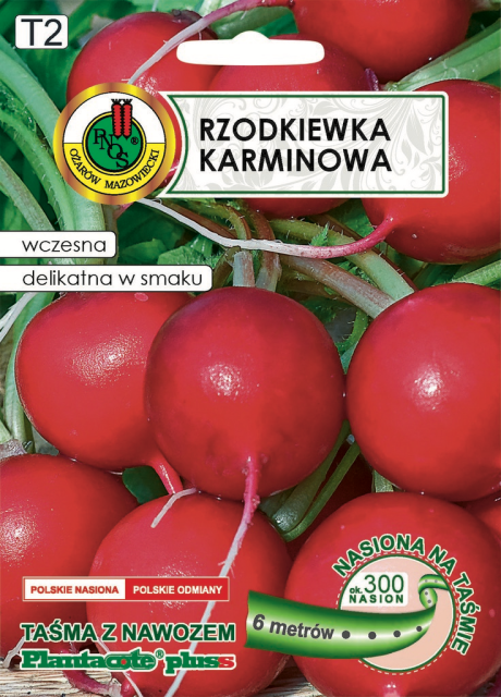 PNOS RZODKIEW KARMINOWA 6M TAŚMA