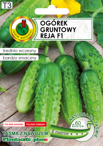 PNOS OGÓREK REJA 6M TAŚMA