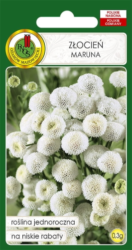 PNOS ZŁOCIEŃ MARUNA 0,3G