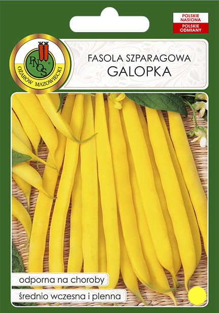 PNOS FASOLA GALOPKA 500G