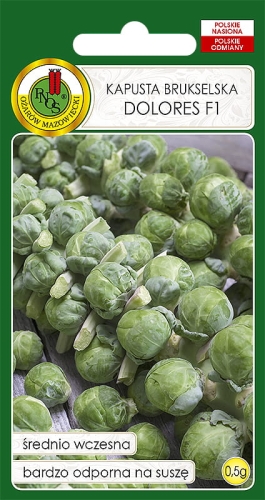 PNOS BRUKSELKA DOLORES 5G