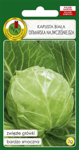 PNOS KAPUSTA DITMARSKA 2G