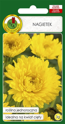 PNOS NAGIETEK ŻÓŁTY 3G