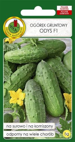 PNOS OGÓREK ODYS 5G