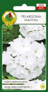 PNOS PELARGONIA BIAŁA 10Z