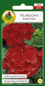 PNOS PELARGONIA CZERWONA 10Z
