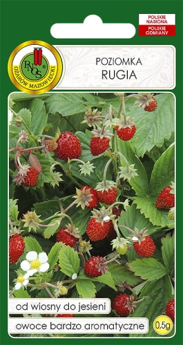 PNOS POZIOMKA RUGIA 0.5G