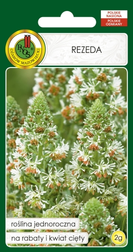 PNOS REZEDA WONNA 2G