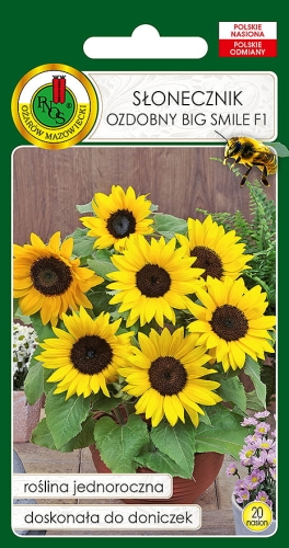 PNOS SŁONECZNIK OZDOBNY BIG SMILE 20Z