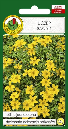 PNOS UCZEP ZÓŁTY 0,3G