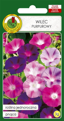 PNOS WILEC PURPUROWY 3G