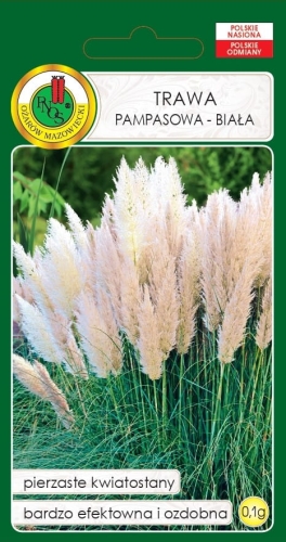 PNOS TRAWA PAMPASOWA BIAŁA 0,1G