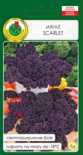 PNOS JARMUŻ SCARLET 5G