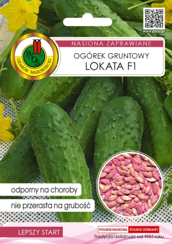 PNOS OGÓREK LOKATA INKRUSTROWANY 5G