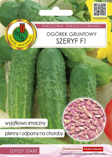 PNOS OGÓREK SZERYF INKRUSTOWANY 5G