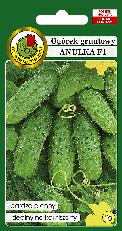 PNOS OGÓREK ANULKA 2G