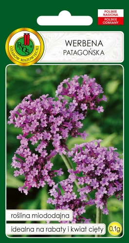 PNOS WERBENA PATAGOŃSKA 0,1G