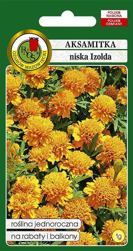 PNOS AKSAMITKA NISKA IZOLDA 1G