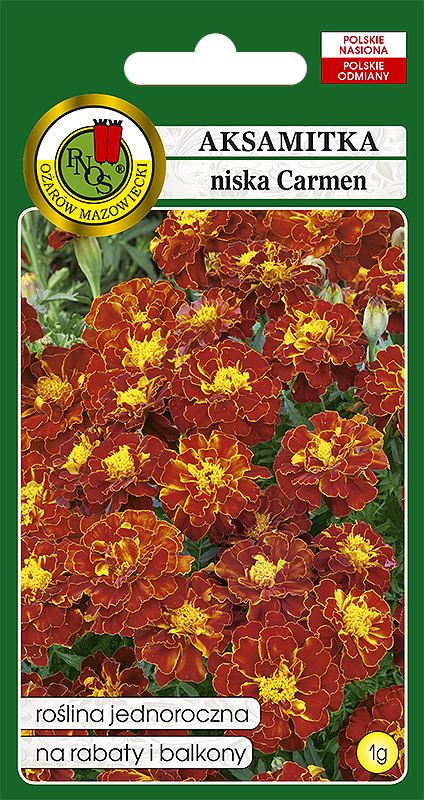 PNOS AKSAMITKA NISKA CARMEN 1G