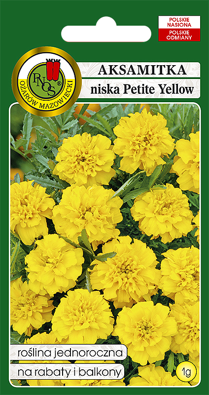 PNOS AKSAMITKA NISKA PETITE YELLOW 1G