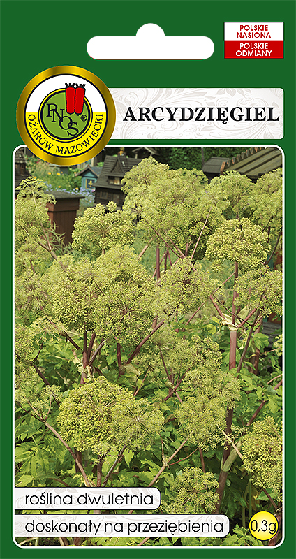 PNOS ARCYDZIĘGIEL 0,3G