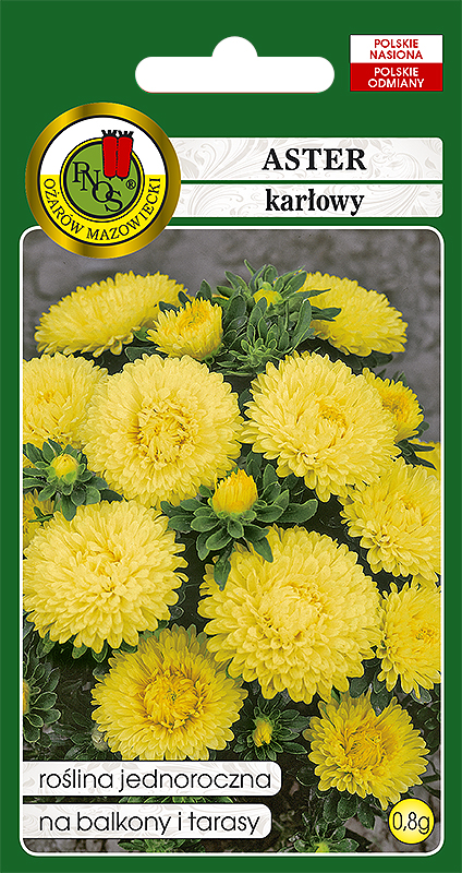 PNOS ASTER KARŁOWY ŻÓŁTY 0,8G