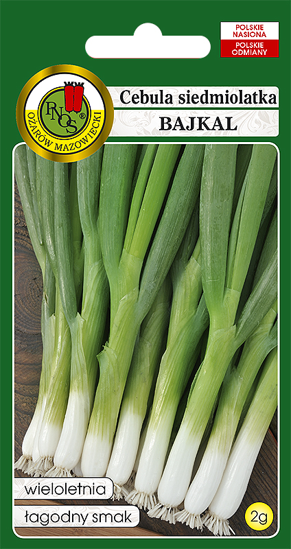PNOS CEBULA SIEDMIOLATKA BAJKAŁ 2G