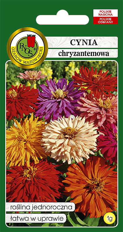 PNOS CYNIA CHRYZANTEMOWA MIESZANA 1G