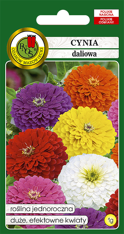 PNOS CYNIA DALIOWA MIESZANA
