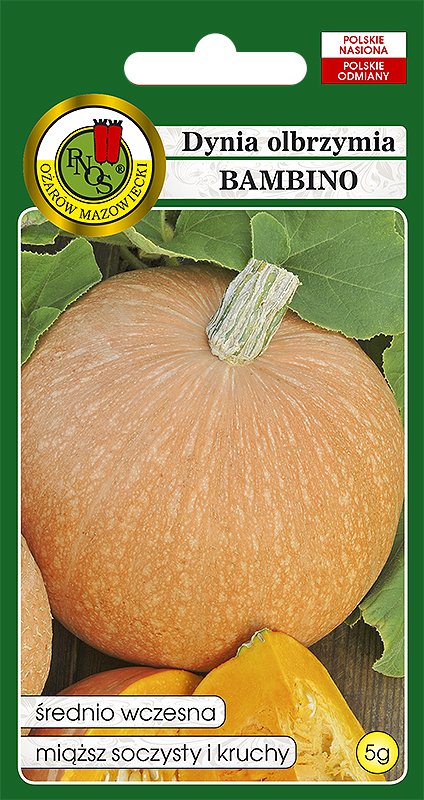 PNOS DYNIA OLBRZYMIA BAMBINO 5G