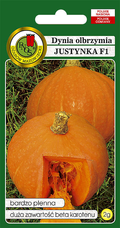 PNOS DYNIA OLBRZYMIA JUSTYNKA