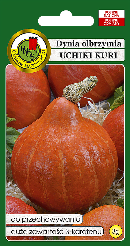 PNOS DYNIA OLBRZYMIA UCHIKI KURI 3G