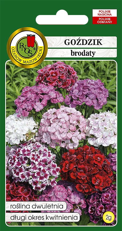 PNOS GOŹDZIK BRODATY MIESZANY